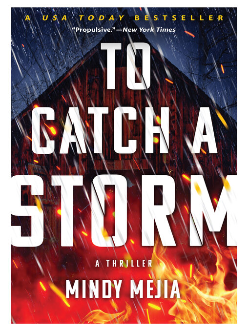 Title details for To Catch a Storm by Mindy Mejia - Wait list